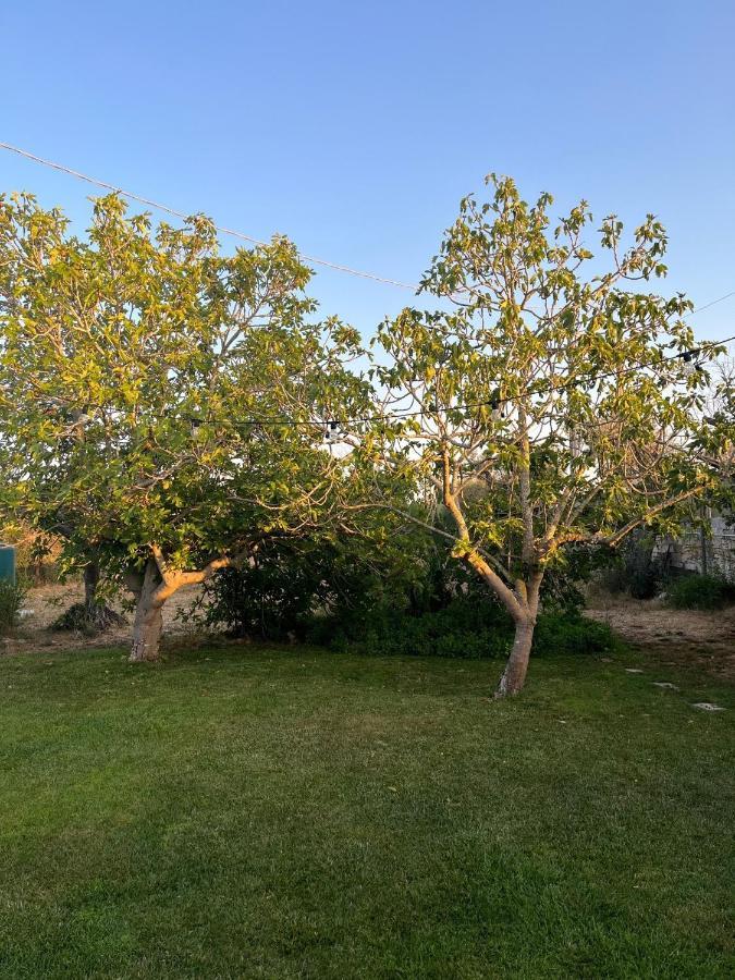 Li Papi Villa Galatone Eksteriør bilde